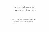 inherited (neuro-) muscular disorders · inherited (neuro-) muscular disorders - Morbus Duchenne / Becker - Limb girdle muscular dystrophy. Dystrophinopathien Muskeldystrophie Duchenne