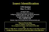 Certain Insect and Mite Pests of Vireya - CTAHR Website Insect ID NXPowerLite 051311.pdf · Abdomen 3 pairs of jointed legs 1 pair antennae or feelers 1 or 2 pairs of wings ... Certain