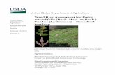 WRA Rotala rotundifolia - USDA APHIS · Weed Risk Assessment for Rotala rotundifolia Ver. 1 February 19, 2016 1 Introduction Plant Protection and Quarantine (PPQ) regulates noxious