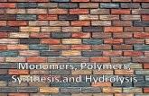 Monomers and Polymers - dpisd.org · Monomers and Polymers Monomers are single units that can be put together to form larger units called Polymers Monomer --> Polymer VIDEO Mono-