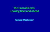 The Cannabinoids: Looking Back and Aheadherbology.org.il/_Uploads/dbsAttachedFiles/cannabismeshu...Cerebral blood flow Neuroprotection Digestive system Pain Emesis and nausea Reproduction
