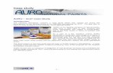 AURO – GraT Case Study - MEPSS · AURO – GraT Case Study ... product (paint) + technical and environmental ... Step 3: Evaluation strategy Process 1 Discussion of visions