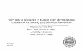 Fr om risk to resilience in human br ain dev elopmentsiteresources.worldbank.org/INTECD/Resources/... · Fr om risk to resilience in human br ain dev elopment: A framework for planning