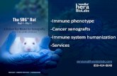-Immune phenotype -Cancer xenografts -Immune system ... · Fallon Noto, Ph.D. Senior Scientist 10+ years working with mice and rats, expertise in rodent humanization, cell and tissue