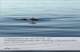 Vurdering af effekter af undervandsstøj på marine ...dce2.au.dk/pub/TR45.pdf · tærskler for eksponering, der leder til TTS, udtrykt både som lydtryk og som akkumuleret energi