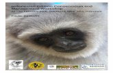 Indonesian Gibbon Workshop Final Report Gibbon Conservation and Management Workshop Final Report Page 1 Executive Summary Seven recognized gibbon taxa are distributed across Kalimantan,