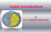 Objectives - Mans METABOLISM - 1st.pdf · Objectives By the end of lecture the student should: Identify importance of lipids in food. Describe digestion of different types of lipids.