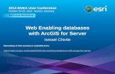 Web Enabling databases with ArcGIS for Server fileUse from the APIs or from arcgis.com viewer • Dynamic Workspaces • Also optional • Lets client manipulate the contents of your