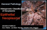 Histogenetic Classification of Neoplasms Epithelial Neoplasms · Adeno carcinoma apicis vesicae ... recti M 8263/0 EGFR, Her-1 (7p11) / SE7 Epidermal growth factor receptor (EGFR)