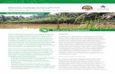 Peat Land Management - MCA Indonesia · Peat Land Management Peat lands possess one of the largest terrestrial carbon storage capacities that at their best can store more carbon than