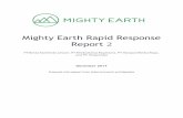 Mighty Earth Rapid Response Report 2 · Mighty Earth Rapid Response Report 2 PT Berau Karetindo Lestari, PT Rimba Karya Rayatama, PT Harapan Rimba Raya, and PT Simpi Indai December