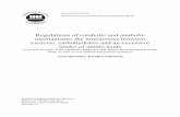 Regulations of catabolic and anabolic mechanisms.doc; the ...326027/FULLTEXT01.pdf · Regulations of catabolic and anabolic mechanisms; the interactions between exercise, carbohydrates