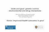 Urate and gout: genetic control, environmental and drug interactions … and gout presentation.pdf · Urate and gout: genetic control, environmental and drug interactions A/Prof Tony