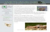 WETLAND NEWS · 2015-01-10 · Richard Gitar Maryann McGraw Janet Morlan f Jeanne Christie, ... These extreme weather events have become more frequent and are ... Wetland News 3 Association