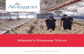 Marek’s Disease Virus - Aviagen | Aviagenen.aviagen.com/.../English/MareksDiseaseVirus-2017-EN.pdfMarek’s Disease Virus Page 2 SUMMARY • Marek’s disease (MD) continues to be