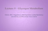 Lecture 8 - Glycogen Metabolism · Lecture 8 - Glycogen Metabolism. 2 Text Glycogen A storage form of glucose Introduction. 3 Text Glycogen is stored primarily in the liver and skeletal