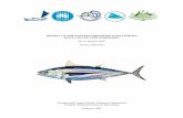 REPORT OF THE EASTERN INDONESIA TUNA FISHERY … · Review of the tuna fisheries in Eastern Indonesia ... Banda Sea. 6. Arafura Sea. 7. Tomini Bay and Seram Sea. 8. Sulawesi Sea and