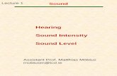 Hearing Sound Intensity Sound Level - Trinity College, Dublin 3... · Sound (Intensity) level in decibels (b) 10 0 10log I I b where (threshold of hearing at 1000Hz) 12 2 I Wm0 10