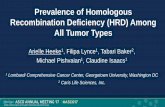 Prevalence of Homologous Recombination Deficiency (HRD ... · Prevalence of Homologous Recombination Deficiency (HRD) Among All Tumor Types Arielle Heeke 1, Filipa Lynce , Tabari
