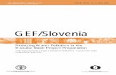 GEF/SLOVENIA: Reducing Water Pollution in the Danube .GEF/Slovenia Reducing Water Pollution in the