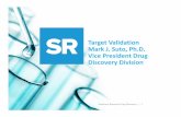 Target Validation Mark J. Suto, Ph.D. Vice President Drug ... · CYP, PPB, LM, Sol KCNQ2/3, hERG EP MES and LMA ED 50 Pain ED 50 Carrageenan, chung, formalin In vitro selectivity