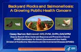 Backyard Flocks and Salmonellosis: A Growing … Flocks and Salmonellosis: A Growing Public Health Concern National Center for Emerging and Zoonotic Infectious Diseases Division of