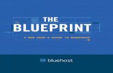 A NEW USER’S GUIDE TO WORDPRESS - bluehost.com · using this free and open source content management system (CMS) . WordPress was designed to make online publishing available to