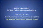 Taming OpenFOAM for Ship Hydrodynamics Applications · • One of the test problems for the 2010 Gothenburg CFD Workshop on Ship Hydrodynamics (Kim et al, 2010) • Re. L = 1.2 x