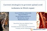 Current strategies to prevent spinal cord ischemia in TAAA ...past.mac-conference.com/xconfig/upload/files/$01-Fr... · Current strategies to prevent spinal cord ischemia in TAAA