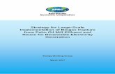 Strategy for Large-Scale Implementation of Biogas Capture ... · Work on this APEC project, EWG 25 2015A — Strategy for Large-Scale Implementation of Biogas Capture from Palm Oil