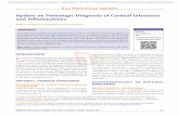 Update on Pathologic Diagnosis of Corneal Infections and ...applications.emro.who.int/imemrf/Middle_East_Afr_J_Ophthalmol/Middle_East_Afr_J... · Viral keratitis Herpes simplex virus