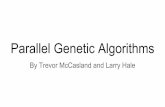 Parallel Genetic Algorithms - Missouri University …web.mst.edu/~ercal/387/5802-PRESENTATIONS-2-2015/Hale2.pdfClassification of Parallel Genetic Algorithms Ratio is low for fine grain