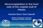 Microzooplankton in the food web of the coastal Gulf of Alaska · Microzooplankton in the food web of the coastal Gulf of Alaska Suzanne Strom, Russ Hopcroft Western Washington University