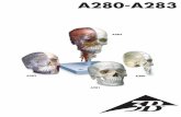 A280 A283 - koronas.rokoronas.ro/PDF/A280_A281_A282_A283.pdf · English English A282 Combi skull, transparent/bone This combination of one transparent and one bony skull half is unique