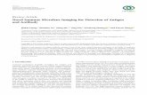 Novel Immune Microlens Imaging for Detection of Antigen ...downloads.hindawi.com/journals/jir/2019/5474519.pdf · Review Article Novel Immune Microlens Imaging for Detection of Antigen