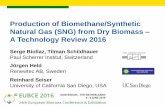 Production of Biomethane/Synthetic Natural Gas (SNG) from ... · Production of Biomethane/Synthetic Natural Gas (SNG) from Dry Biomass – A Technology Review 2016 Serge Biollaz,