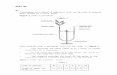 sciencerevisionoalp.files.wordpress.com€¦  · Web viewQ1. A potometer is a piece of apparatus that can be used to measure water uptake by a leafy shoot. Figure 1. shows a potometer.