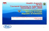 Health Aspects of the Tsunami Disaster in Indonesia ... · Increased activity and rise of alert levels of volcanoes The Emerging Emergency Situation December 26, 2004 ACEH April 10,
