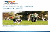 Feeding and exercise - animalwelfarefoundation.org.uk · includes providing a suitable diet and exercise. Start today by knowing how to give your pet the right food and exercise for