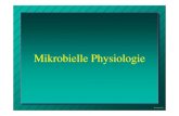 Physiologie Folie 1a - uni-due.de hc0001/pdf/Microbial Physiology/Microbial  · Physiologie Folie 3