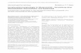 Lymphozytenmorphologie im Blutausstrich – Vorstellung ... · Lymphocyte morphology in the peripheral blood ﬁ lm: proposal of a revised nomenclature and systematics Herrad Baurmann