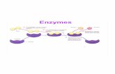 fileenzym e correct fit, ... C. Ophardt. c. 2003 . Names of Enzymes An enzyme's name is often derived from its substrate or the chemical reaction it catalyzes. Active Site Glucose