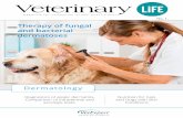 Therapy of fungal and bacterial dermatoses - vetexpert.eu · 3 CONTENTS 1/2016 Expert eye 4 Therapy of fungal and bacterial dermatoses. dermatoses Jarosław Popiel 7 Treatment of