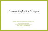 Developing Native Grouper - inahea.org · INA-CBG (Indonesia Case Based Groups) •Is a Casemix system which implemented in Indonesia as a payment method for secondary and tertiary