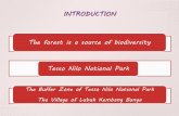 The forest is a source of biodiversity Tesso Nilo National ... · The forest is a source of biodiversity Tesso Nilo National Park The Buffer Zone of Tesso Nilo National Park The Village