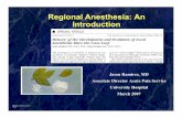 Regional Anesthesia: An Introduction · References • Rathmell, Regional Anesthesia The Requisites In Anesthesiology, 2004 • Morgan, Clinical Anesthesiology 3rd Ed, 2002 • New