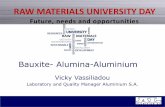 RAW MATERIALS UNIVERSITY DAY - ec.europa.euec.europa.eu/eip/raw-materials/sites/rawmaterials/files/Bauxite -alumina -aluminium... · Aluminum Electrolysis Cell (Hall- Héroult) The