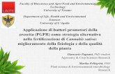 nella fertilizzazione di University of L’Aquila Cannabis ...canapamundi.com/wp-includes/images/slides/Pagnani-Pellegrini.pdf · 1 I biofertilizzanti: sono prodotti contenenti microrganismi
