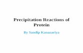 Precipitation Reactions of Protein - zmchdahod.org · 3. PRECIPITATION REACTION OF PROTEIN BY ORGANIC ACID •Reagents required: Sulphosalicylic acid, Trichloroacetic acid, Esbach’s