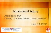 Inhalational Injury - Montreal Children's Hospital · Inhalational Injury Allon Beck, MD Fellow, Pediatric Critical Care Medicine. June 14, 2012